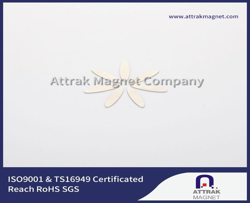 irregular magnet_04